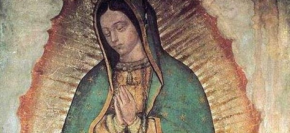 Los verdaderos milagros de la Imagen Guadalupana Los verdaderos milagros de la Imagen Guadalupana
