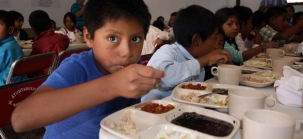 Alimentos y educación, necesarios para crecer con dignidad Alimentos y educación, necesarios para crecer con dignidad