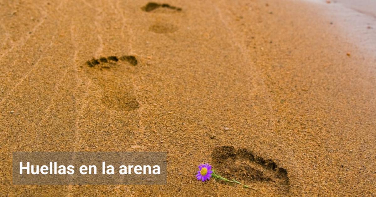 Huellas en la arena | El Observador de la Actualidad