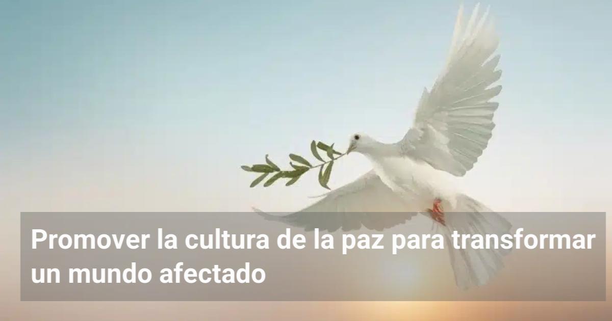 Promover la cultura de la paz para transformar un mundo afectado | El ...