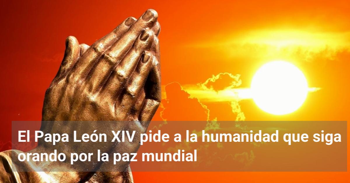 El Papa León XIV pide a la humanidad que siga orando por la paz mundial ...