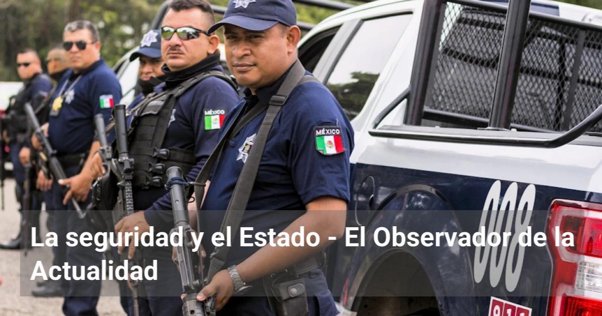 La seguridad y el Estado | El Observador de la Actualidad