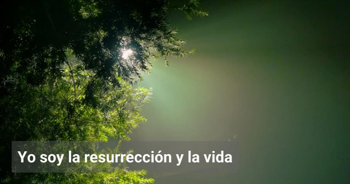 Yo soy la resurrección y la vida | El Observador de la Actualidad