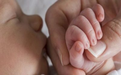 Difundan la «cultura de la vida»: Papa Francisco a ginecólogos
