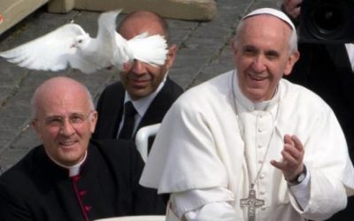 Vence la indiferencia y conquista la paz