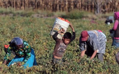 Trabajo infantil y explotación laboral: cruda realidad en México
