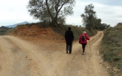 Ángeles: El Señor les ha mandado cuidarnos en nuestros caminos