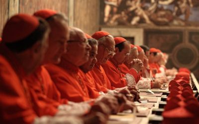 Cardenales y ayudantes del Papa Francisco