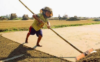 ¡No al trabajo infantil!
