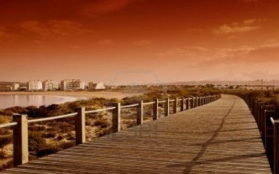 Construir puentes o dinamitar caminos