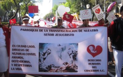 En la defensa de la vida falta la participación decidida de los laicos