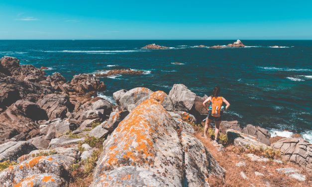 Iniciemos el 2014 como un año de desafíos