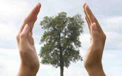 Cuidadores o destructores