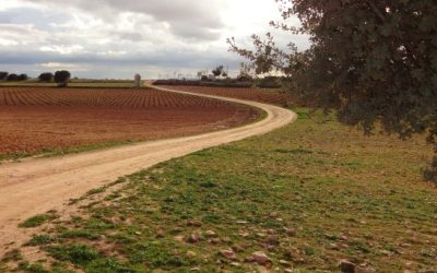 Enséñanos a caminar