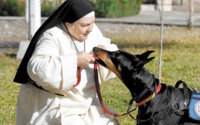 La monja amiga de los perros