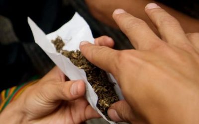 Permisividad de la Marihuana