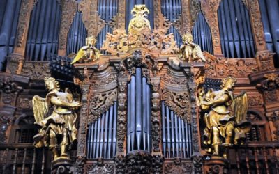 Órganos de Catedral: Voz restaurada