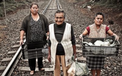 Participación social de los católicos