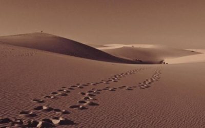 10 tips para tu sacrificio de Cuaresma