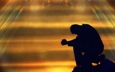 Entre sombras y luces