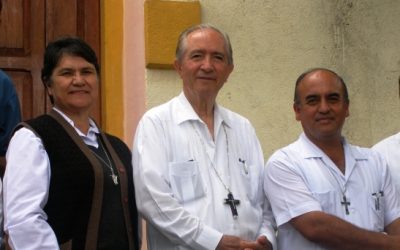 Discípulos Misioneros de Jesús Buen Pastor: una nueva y dinámica alternativa para la vida sacerdotal