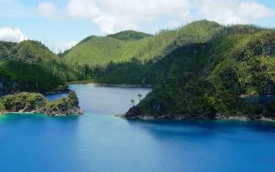 Chiapas destruye su riqueza