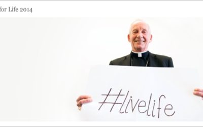 Testimoniar la santidad de la vida, combatir la cultura de la muerte