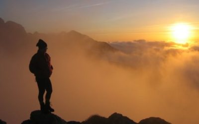 ¿Qué tiene la naturaleza humana?