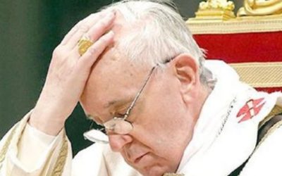 Los lobos no gustan oír la palabra perdón