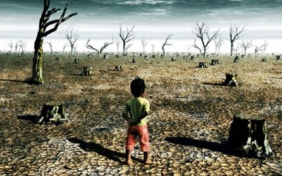 «La tierra está confundida»