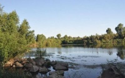 Sonora: el mayor desastre ambiental causado por una minera