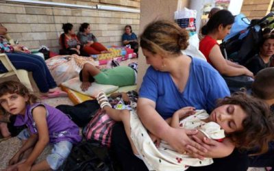 La CEM convoca a Misa por la paz en Irak, en la Basílica de Guadalupe