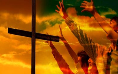 Seríamos una Iglesia distinta si…