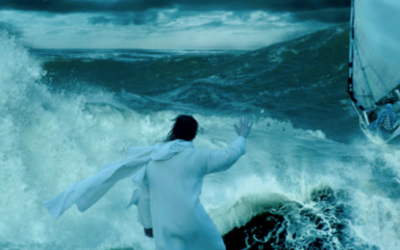 En medio de la crisis