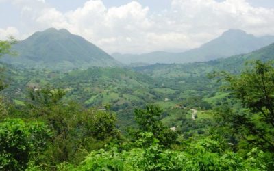 Una opción por el medio ambiente