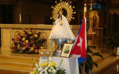 Aprender de la Virgen a alegrarse, levantarse y perseverar