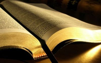 Amar la Palabra ¡sin prejuicios!