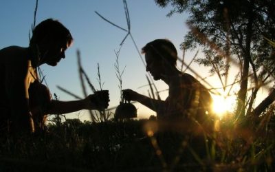 Sean misericordiosos, como su Padre es misericordioso