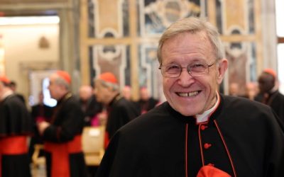 Guerra entre cardenales