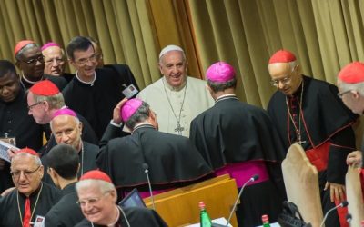 La opinión del Papa Francisco