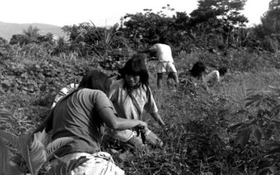 En búsqueda de vida digna para los excluidos