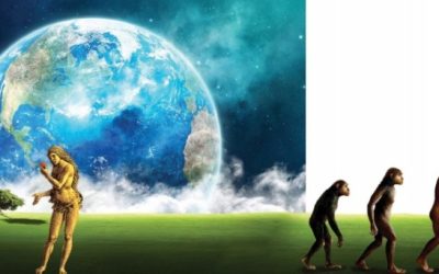 Evolución o Creación: ¿A cuál irle?