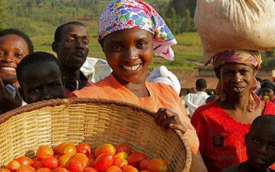 Dar una mano para ayudar