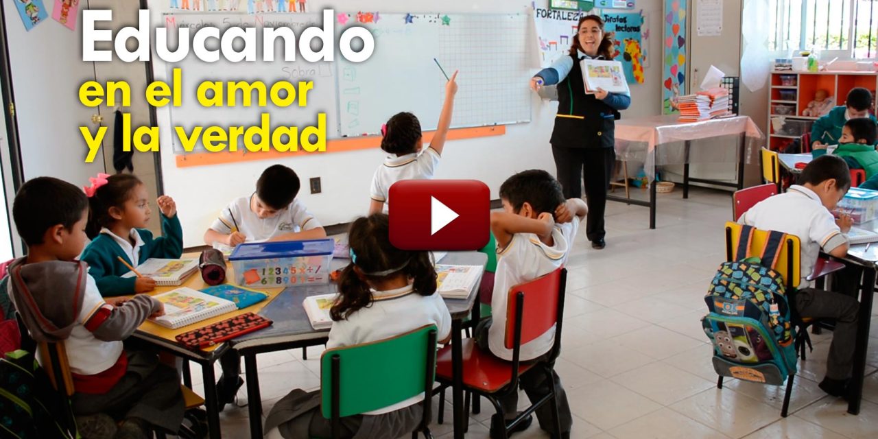 VIDEO «El girasol», igualando oportunidades