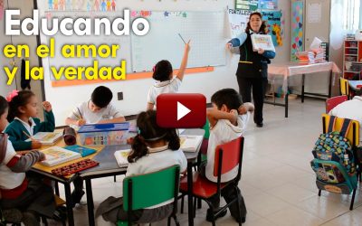VIDEO «El girasol», igualando oportunidades