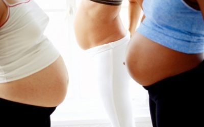 Familias y conejos, ¿qué dijo el Papa?