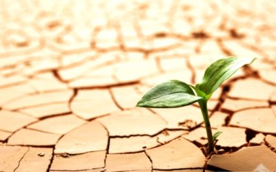 Salir de lo pequeño, respirar en grande