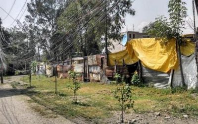 Xochimilco, el paraíso y vidas extintas que humean como candelas recién apagadas