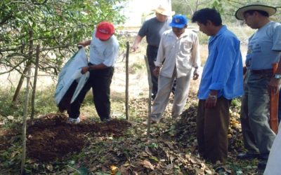 Agroecología: construyendo el buen vivir