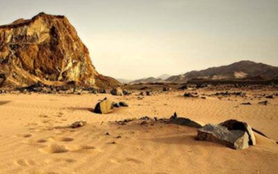 En el marco del desierto